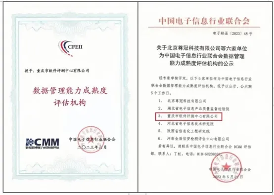 DCMM评估系列之二：数据战略能力域解读(图3)